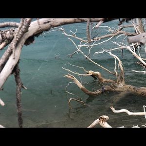 Meet your Posher, Jaye